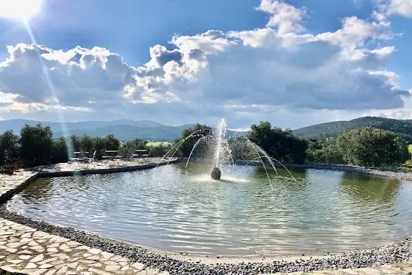 Üzüm Kızı Beach &amp; Hotel - Resim 15