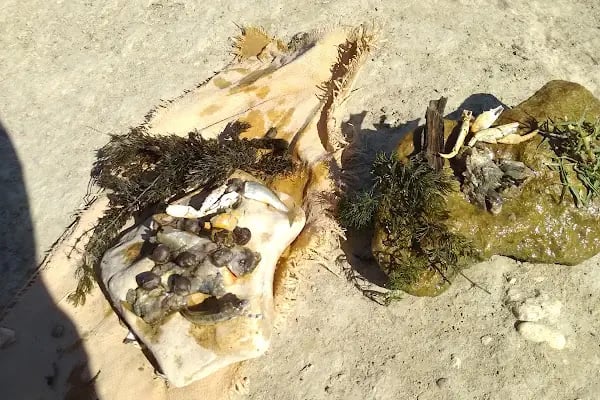 Tapu kadastro müdürlüğü - Resim 2