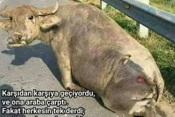 Tapu kadastro müdürlüğü - Resim 12