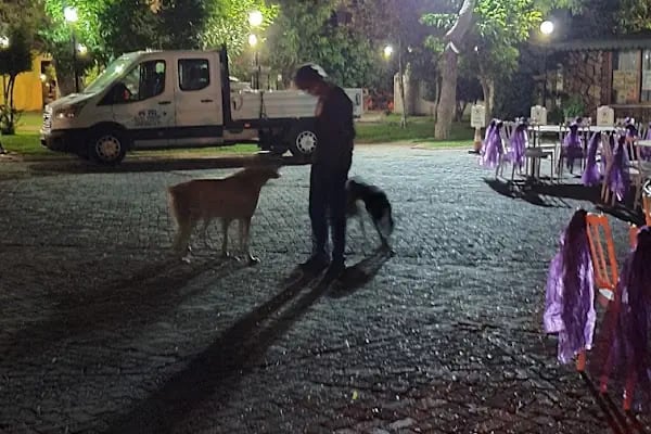 Bigadiç Belediye Oteli - Resim 15