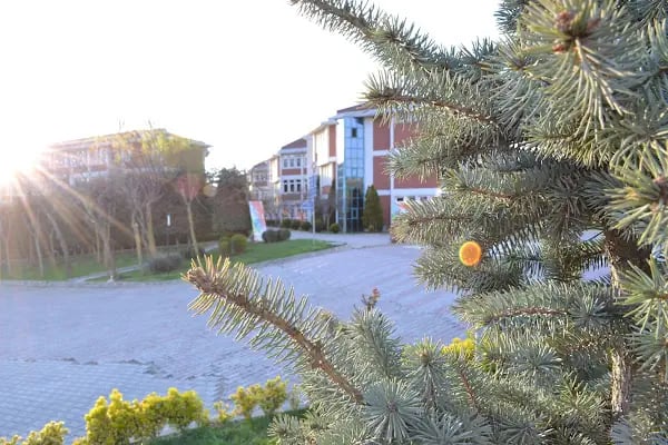İstanbul Üniversitesi - Resim 14