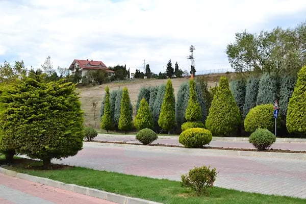 İstanbul Üniversitesi - Resim 13