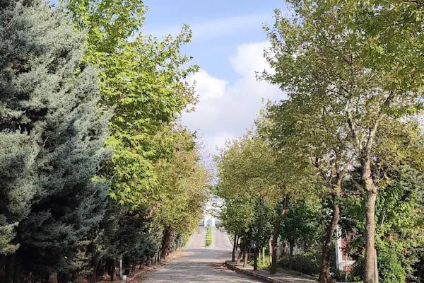 İstanbul Üniversitesi - Resim 10