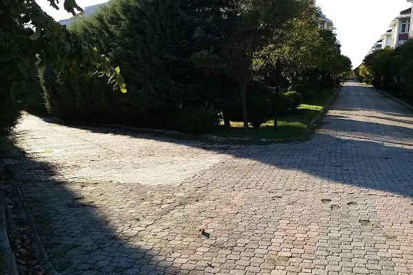 İstanbul Üniversitesi - Resim 12