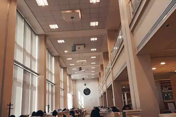 İstanbul Üniversitesi - Resim 16