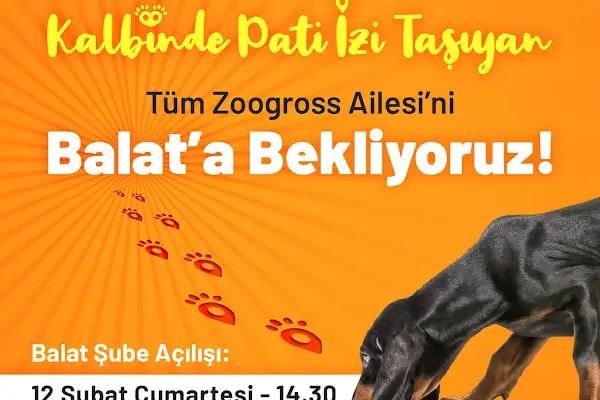 Zoogross Balat - Resim 20