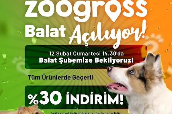 Zoogross Balat - Resim 18