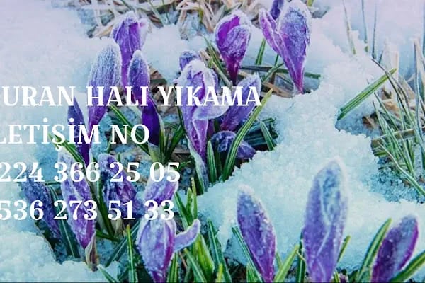 Bursa Duran Halı Yıkama - Resim 17