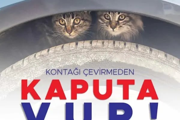 BALÇOVA VETERİNER KLİNİĞİ... - Resim 19