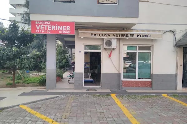 BALÇOVA VETERİNER KLİNİĞİ... - Resim 3