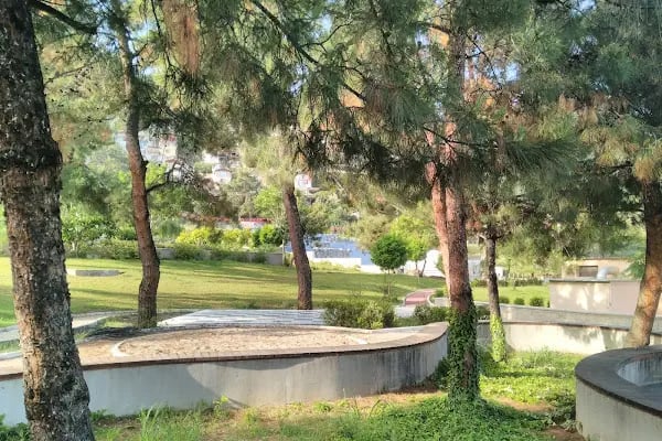 BALÇOVA VETERİNER KLİNİĞİ... - Resim 7