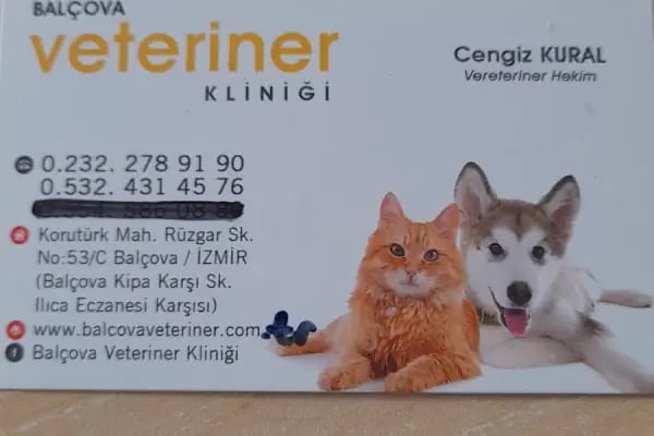 BALÇOVA VETERİNER KLİNİĞİ... - Resim 11