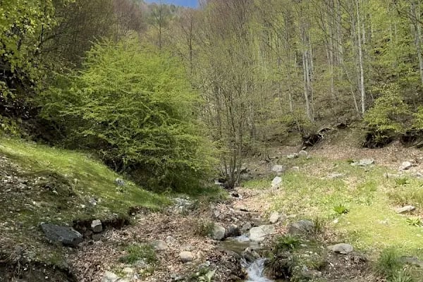 İnegöl bursa - Resim 12