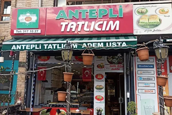 Adem Usta Anteplioğlu - Resim 1