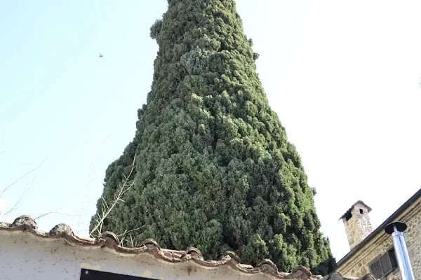 Konak Hotel Kaleiçi - Resim 16