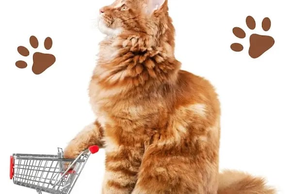 Ales PetShop - Resim 2