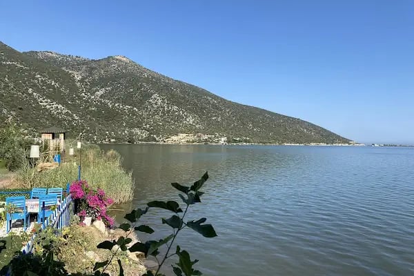 Memedim Balık Restoranı - Resim 5