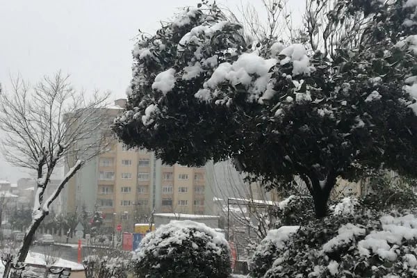 Çamlıkaltı Evleri - Resim 19