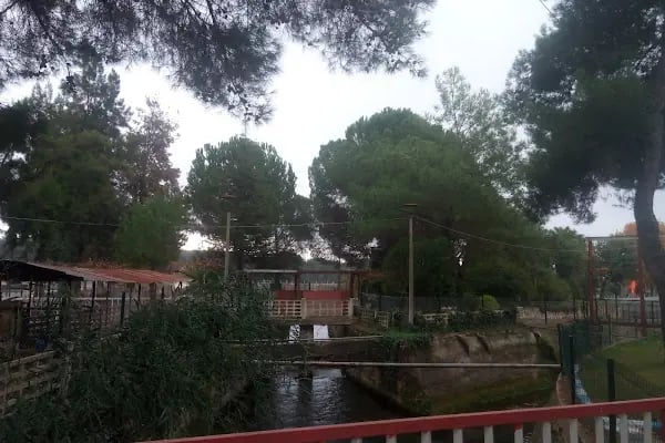 Akdeniz Su Ürünleri Araştırma Üretim ve Eğitim Enstitüsü Kepez Yerleşkesi - Resim 12