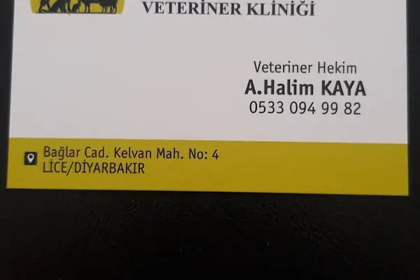 Zilan Veteriner Kliniği - Resim 5