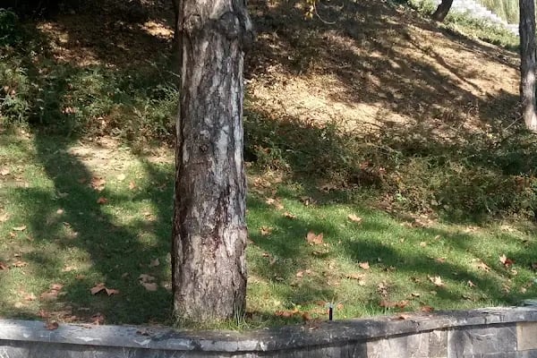 Sarıyer İmam Hüseyin Cemevi - Resim 8