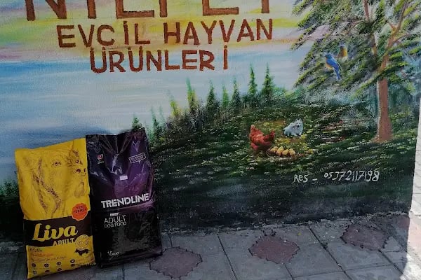 NİL PET - Resim 7