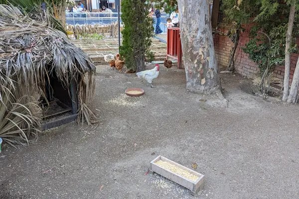 KİDA OKULLARI BAYRAKLI - Resim 18
