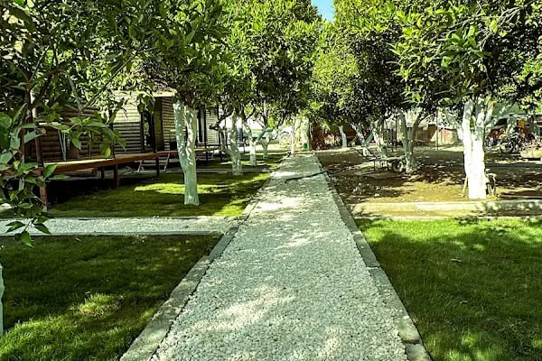 ORANGE GARDEN TREE HOUSES HOTEL - Resim 10