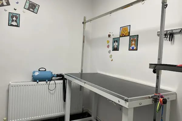 Patiko Veteriner Kliniği - Resim 15
