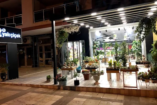Çamlık yalı çiçek - Resim 10