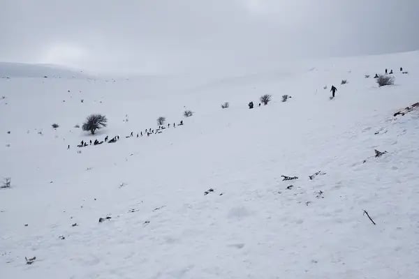 Derbent Aladağ Kayak Merkezi - Resim 3