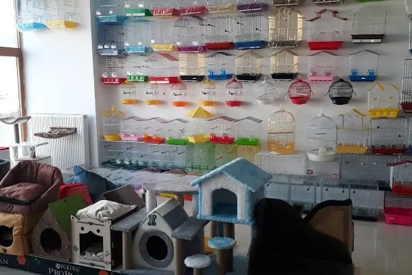 Akın Petshop - Resim 4