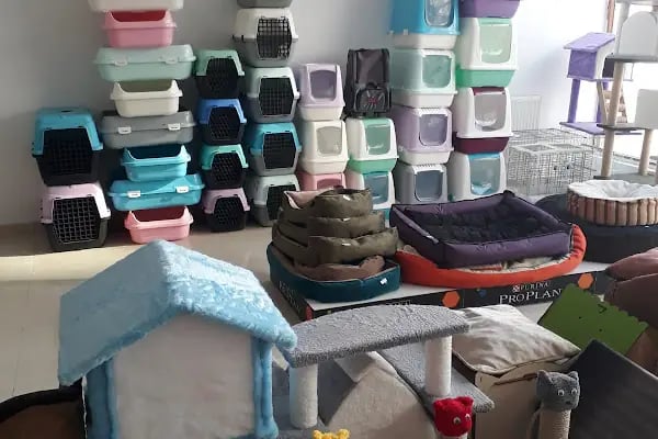 Akın Petshop - Resim 3