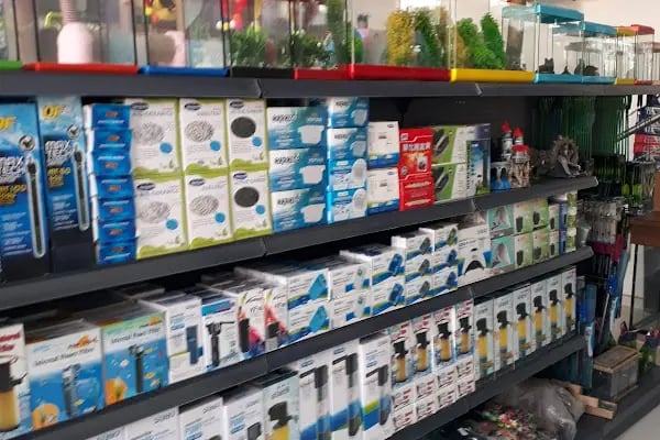 Akın Petshop - Resim 11