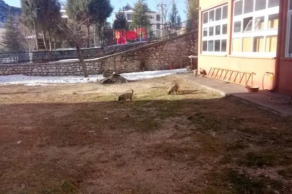 Alaaddin Keykubat Üniversitesi Akseki Meslek Yüksekokulu - Resim 16