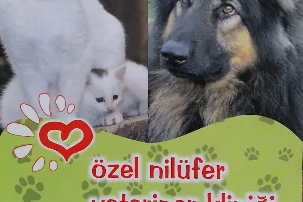 Özel Nilüfer Veteriner Kliniği - Resim 3