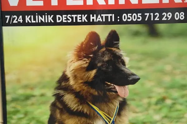 Özel Nilüfer Veteriner Kliniği - Resim 6