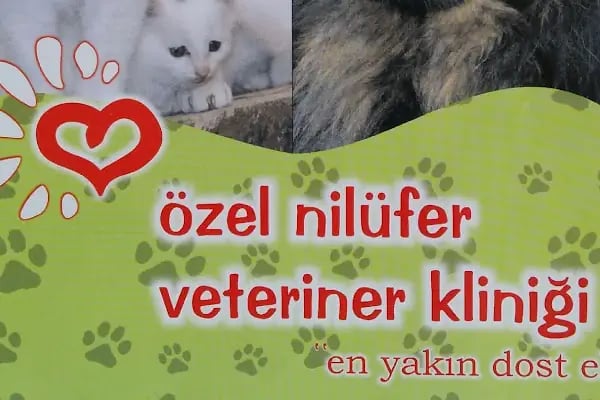 Özel Nilüfer Veteriner Kliniği - Resim 1