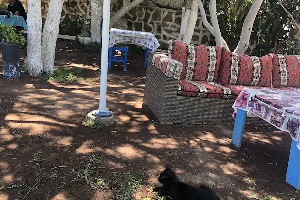 Bahçe Bahar Cafe Restaurant - Resim 15