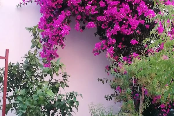 Bahçe Bahar Cafe Restaurant - Resim 9