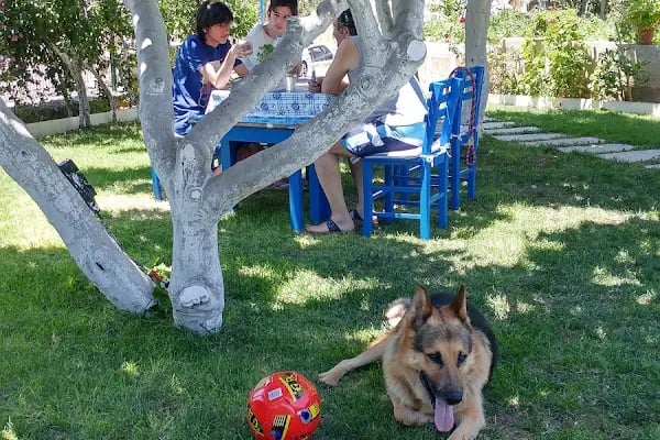 Bahçe Bahar Cafe Restaurant - Resim 19