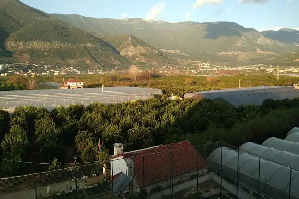 FİNİKE ŞEHİT ÖMER HALİSDEMİR İMAM HATİP ORTAOKULU - Resim 8
