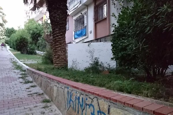 Hasan Oğlu Ali Rıza Türbesi - Resim 3