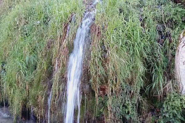 Güney Şelalesi Milli Parkı - Resim 5