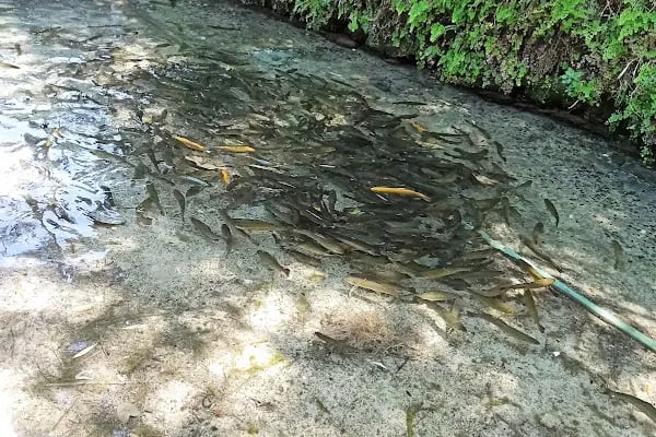 Güney Şelalesi Milli Parkı - Resim 7