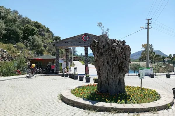 Kapıkargın Kükürt Kaplıcası - Resim 3