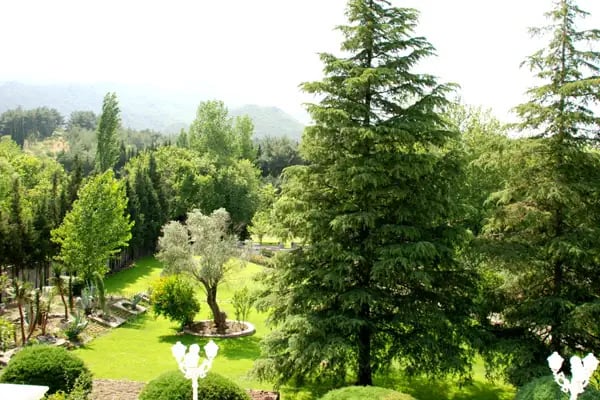 Su Perisi Otel - Resim 7