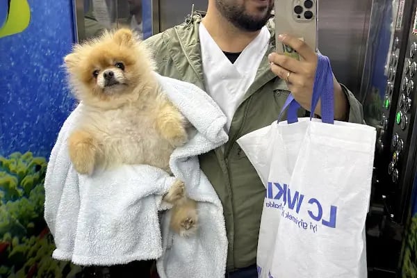 My Vet Veteriner Kliniği (since 2017) - Resim 3