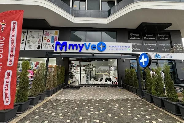 My Vet Veteriner Kliniği (since 2017) - Resim 13