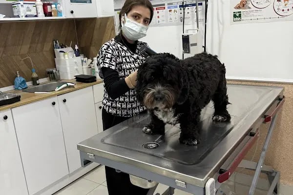 My Vet Veteriner Kliniği (since 2017) - Resim 12